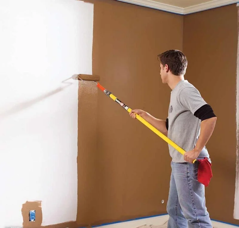 Havran Boya Badanacı