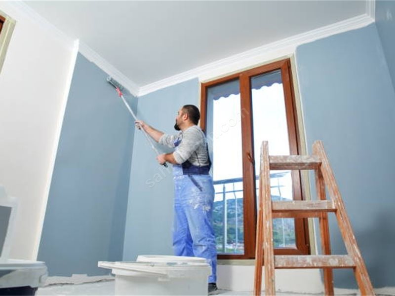 Havran Boya Badanacı