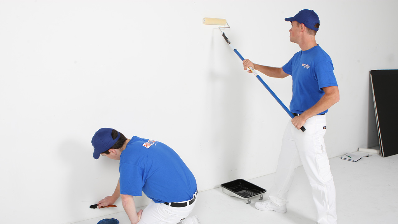 Havran Boya Badanacı